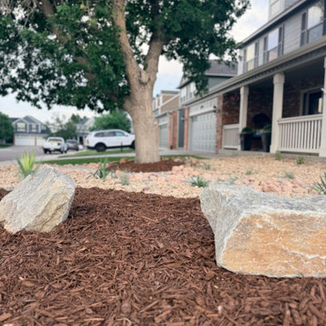 Xeriscape Transformation - Highlands Ranch, CO