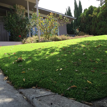 Nature's Sod in Glendale, CA