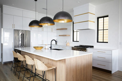 Minimalist kitchen photo in Other