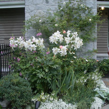 Gardening