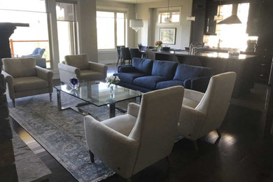 Inspiration for a contemporary living room remodel in Edmonton