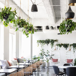 Kitchen & Dining - Furniture