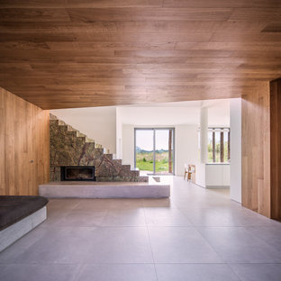 Foto di un grande soggiorno rustico aperto con pavimento in gres porcellanato, TV nascosta, cornice del camino in pietra, pareti marroni, camino lineare Ribbon e pavimento grigio