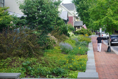 This is an example of a mediterranean landscaping in Philadelphia.