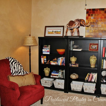Home Office-Pearllescent Plaster
