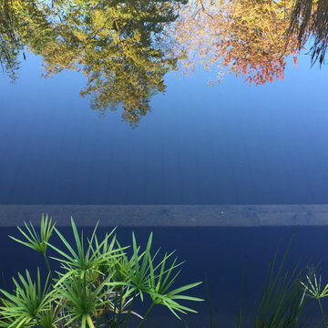 Natural Pool