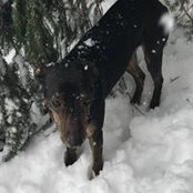 Kimberly Hynak's photo