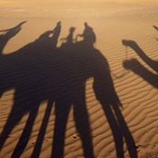 Roger Campeau's photo