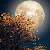 Emy Elgohary's photo