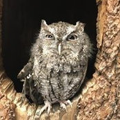 Jerrel Geisler's photo