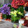 webuser_6387667