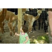 Lori Amaral's photo