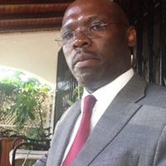 Real Estate Developer