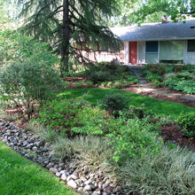 Rain Garden