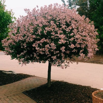 Trees and Garden Center
