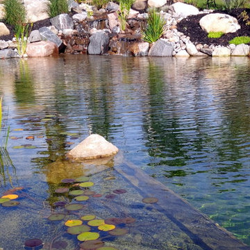 Gilmour Natural Swim Pond