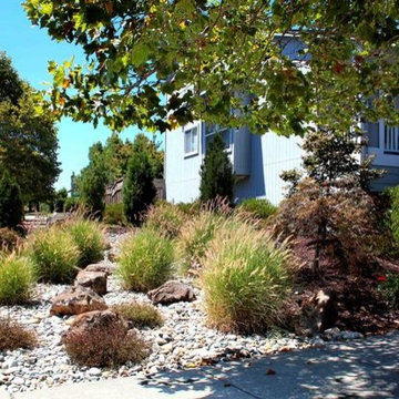 Planting & Irrigation