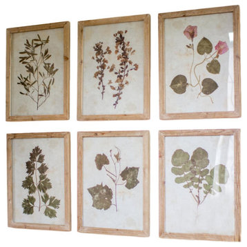 Farmhouse Botanical 6-Piece Pale Wood Frame Leaf Prints Set