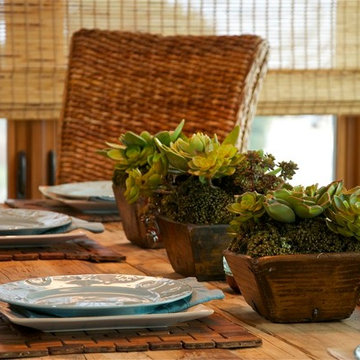 Rustic Beach House