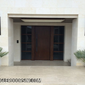 Los Angeles Modern Garage Door and Matching Entry Door