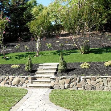 Paver and Landscape Moraga