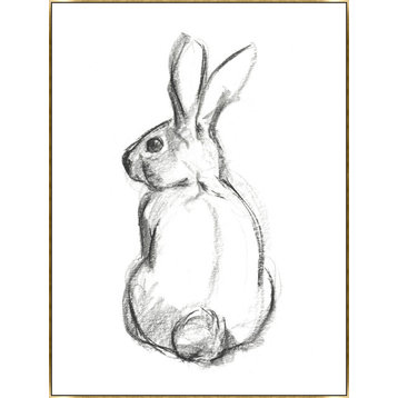 30x40 Charcoal Rabbit, Framed Artwork, Gold