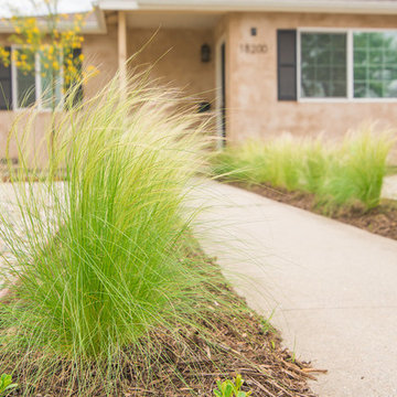 Modern Landscape Design and Installation