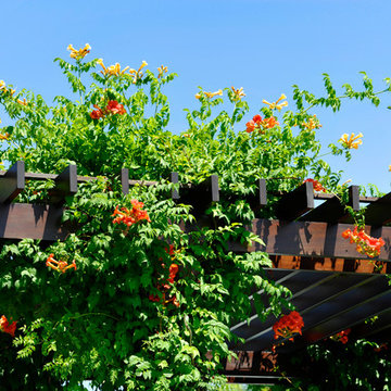 Plantings