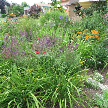 front yard
