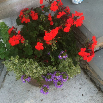 Container Gardens
