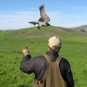 Jeffrey Bertch's photo