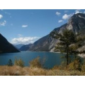 Anthony Gill's photo