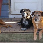 Susan Young's photo