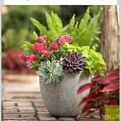 Bobbie Campbell's photo