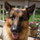 webuser_344219