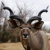 Jason Stahl's photo