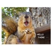Jennifer Barton Meisner's photo