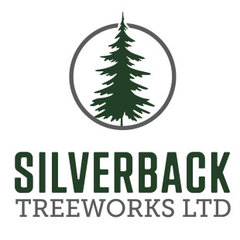 Silverback Treeworks Ltd.