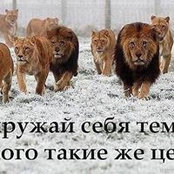 Батыр Хавалов's photo