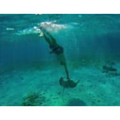 Photo de Michael Croci