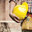 Right Choice Renovation Inc