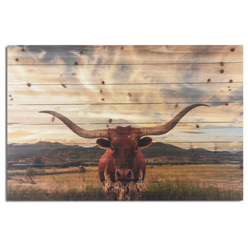 Longhorn Cow, Field Wood Plank Wall Art