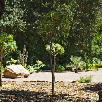 New 1-Year-Old Garden