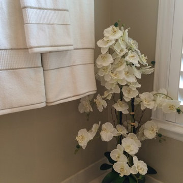 Staging - Palencia Community St. Augustine, FL
