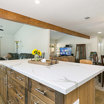 Carlsbad Open Concept Kitchen Renovation with Della Terra Quartz Island Countert