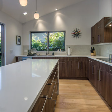 Mid-Century inspired house