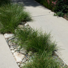 landscaping final