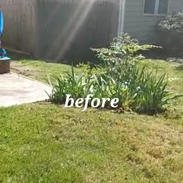 Cleanup and Mulching