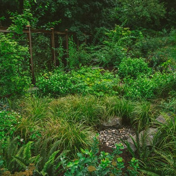 Audubon Certified Backyard Habitat