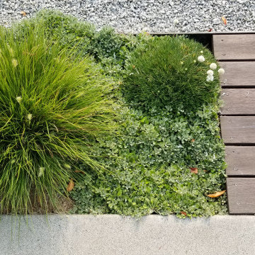 Sammamish Plateau